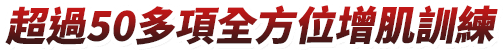 超過50多項全方位增肌訓練