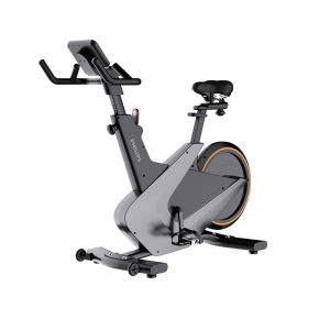 【PHILIPS】FIT5102B 飛利浦光學智發電飛輪車  